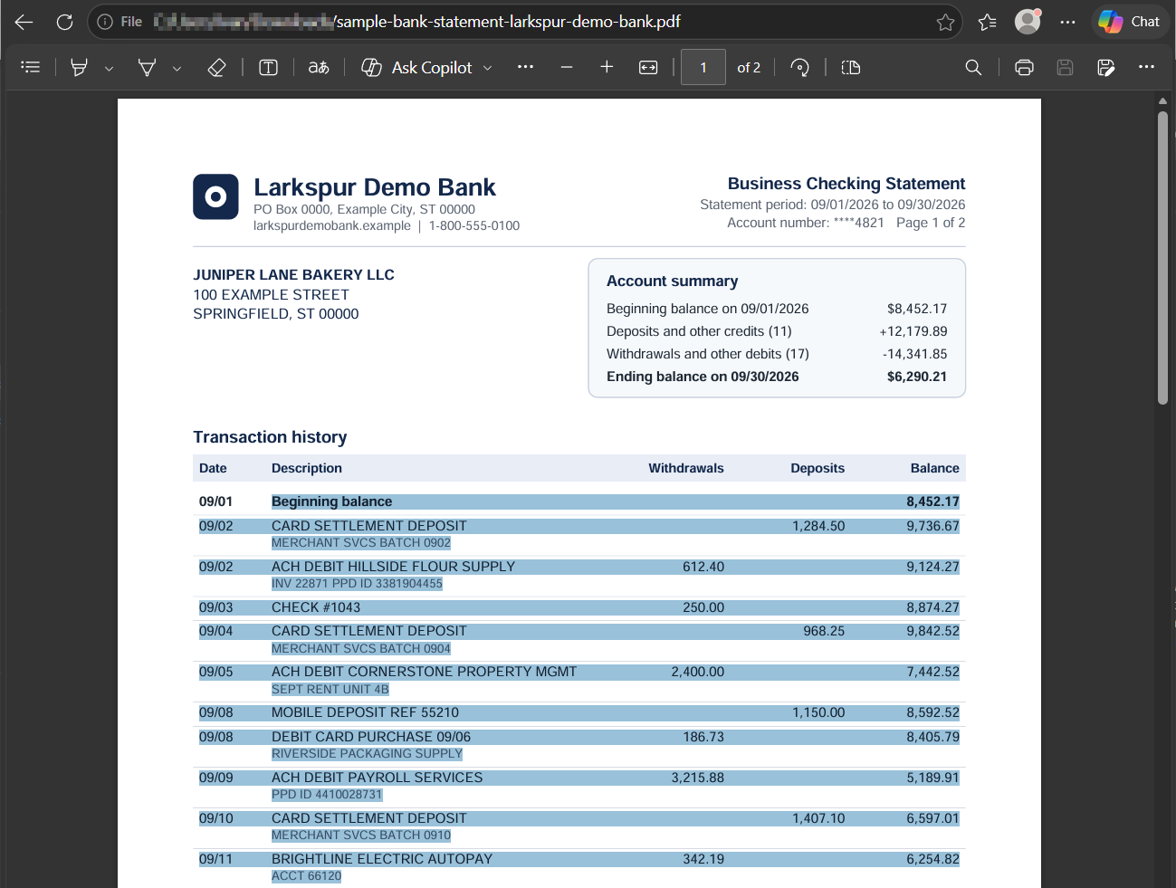 Bank Statement Converter preview of a sample bank statement, with the balance check showing how many rows add up